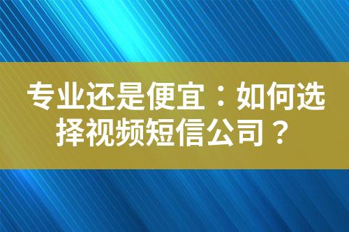 專業還是便宜：如何選擇視頻短信公司？
