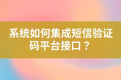 系統(tǒng)如何集成短信驗證碼平臺接口？